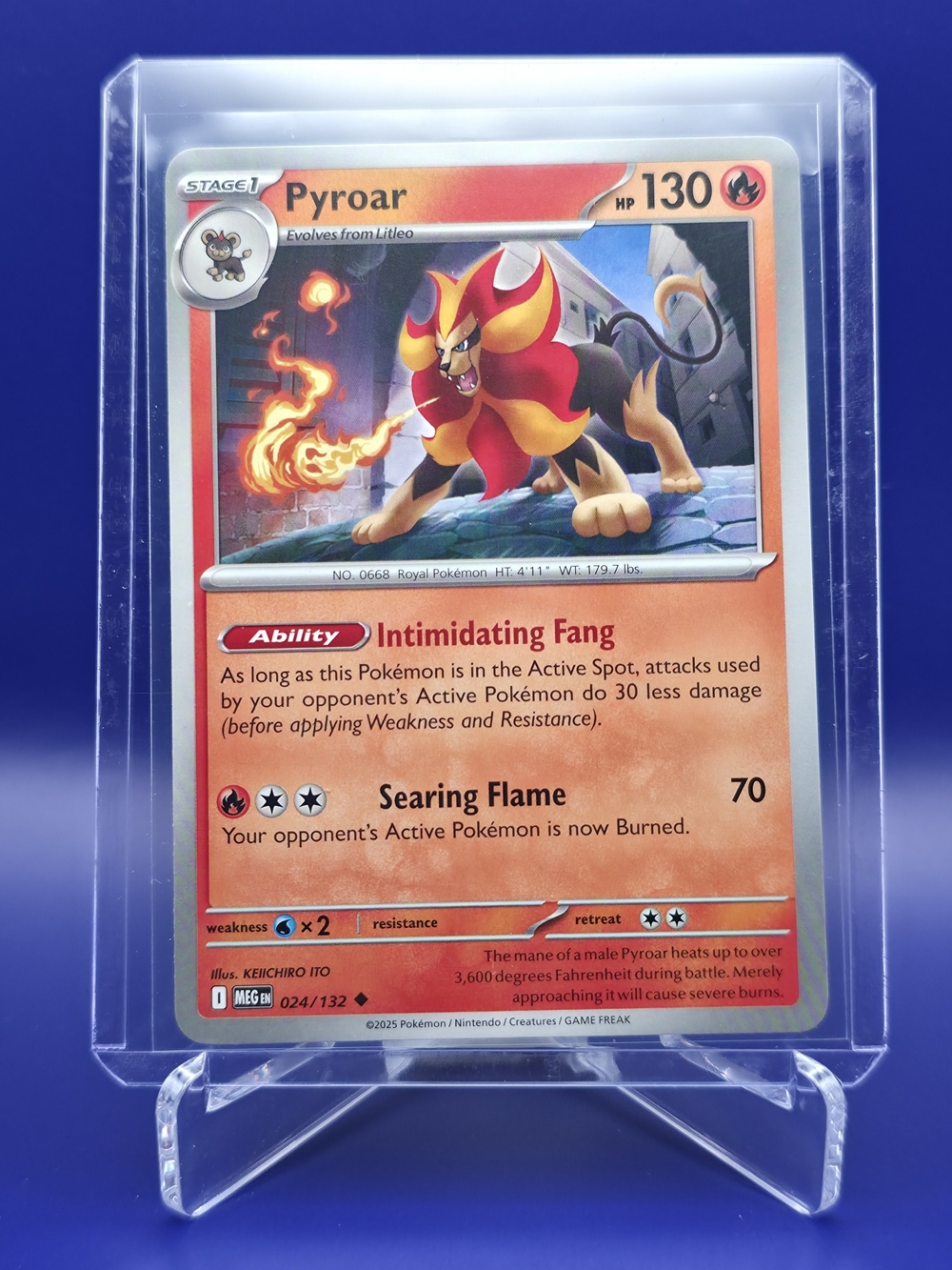 Pokémon TCG - Pyroar - Mega Evolution - 024/132